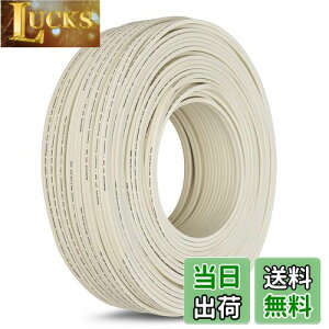 yzyLCYOUTHzXs[J[P[u Xs[J[ P[u 13Q[W xOFC _f 600c (20M)