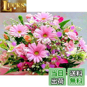 yzDIYNXXeb`Lbg_ChG5DhLbgAsN̔WOWDECORthDIY_ChA[gyCgG (t[Y)