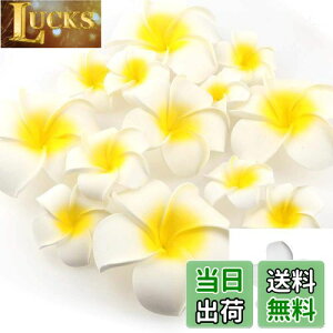 yzYesallwas wA Nbv s vA  7cm 20Zbg Ԃ̂  wA Nbv s vA   DIY  p[eB[p t ʐ^Be