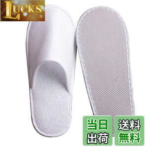 yz[uyoyous] ĝăXbp Xbp  gѕ֗ ʕ ĝĔ 炩ȗSn Ɩp Xbp ze Xbp 20Zbgjp sp 