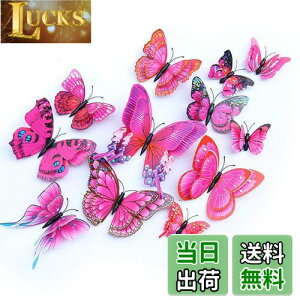 yzULIN  3D  EH[XebJ[ ǎV[  ʃe[v V[ rO ① CeA ǃV[  킢 EH[y[p[ |X^[ p[v