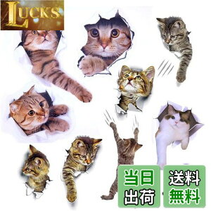 yzPazi EH[XebJ[ L   XebJ[ ˂ V[ 킢 3D ȒP DIY  \Ă͂  ǎ gC  Lb` CeA