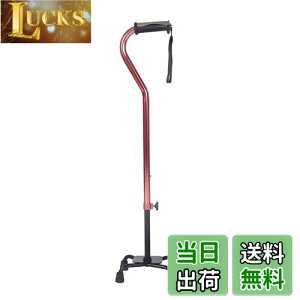 yzSUKONG  4_  p y  Lk ߉\ XebL s⏕  nr hV̓ (bh)