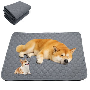 yzSHUVZARI 􂦂ybgpgC}bg ې  L pbh GRJԂg z Rh~  ~ Ђh~ V[c P[W̉~ qVp