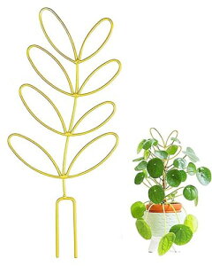 yzharukita |x Ax AT|[g ϗtA T|[g |p A|h~ Œ\