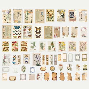 yzLUYINGR[W f 50 m[g^ fUCy[p[ 킢  p[`g fގ e m[g R[Wf AeB[N  xbh  A Ԏ i