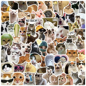 yzDELUXEFOX XebJ[ Zbg hXebJ[ L[P[X X[cP[XXebJ[  oCN XebJ[Zbg XebJ[ V[Zbg