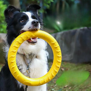【送料無料】JOYOUTH 犬用おもちゃ 丈夫 投げる 噛むおもちゃ 外径19CM 29CM 浮く 中型犬 大型犬 耐久性 フィットネスリング ペット ストレス解消 浮遊訓練 知能訓練 噛み止め テディ犬デンタル