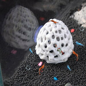 yzRefoiner Gr B  BƑE͑TSΐ zՕt̓A  _J hWE BƐ IuWF Gr ANAE  u Jiwr gJQ VF