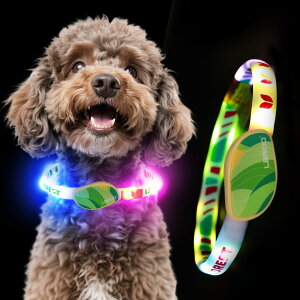 yzLaRoo  F500mŖԂS  L   Cg  UUSB [d ^ ^ ^ TCY߉\