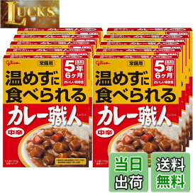 【送料無料】江崎グリコ 常備用カレー職人 サイズ：170グラム (x 10)