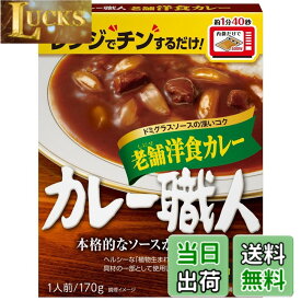 【送料無料】江崎グリコ カレー職人 サイズ：170グラム (x 10)