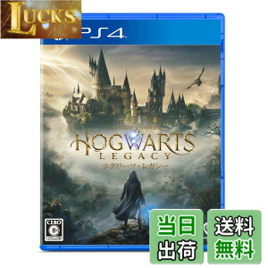 �y���������z�z�O���[�c�E���K�V�[ - PS4 �F�F�y����z�Ȃ��A�T�C�Y�F�ʏ��