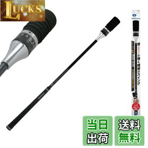 �y���������z�y��������v���E��ѕ��ߎq�v�� �����z�_�C���S���t(DAIYA GOLF) �_�C���X�C���O�V���[�Y �h���C�o�[�̔򋗗��A�b�v ���Ȃ� �w�b�h�X�s�[�h �X�C���O���K��� �S���t���K��� TR