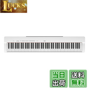 �y���������z���}�n �d�q�s�A�m P-225B�{�� �F�F�z���C�g