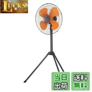 �y���������z�L�d(KODEN)�����H���H�Ɛ� �F�F�_�[�N�O���C�A�T�C�Y�F�O�r�^
