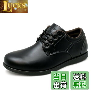 �y���������z[�G�h�E�B��] �h�� �����Y �J�W���A���V���[�Y �r�W�l�X�X�j�[�J�[ �E�H�[�L���O �y�ʌC��\�[�� �v���[���g�D ���[�X�A�b�v �O�H�� �C �I�b�N�X�t�H�[�h edm456 �F�F�u���b�N/�u