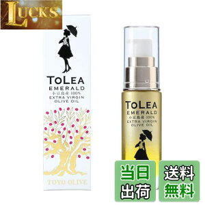 yz mI[u gAGh GLXgo[WI[uIC TCYF20~bg (x 1)