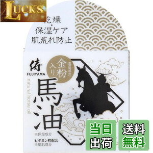 yz FUJIYAMA CX`[N[GB ς^Cv  nN[ 60g