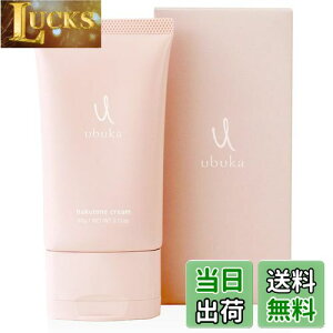 yzfP[g][  PA  VIO e Sg ێ py򕔊OizubukanNg[N[ 60g Au` glLT_ nChLmU TCYF60O (x 1)