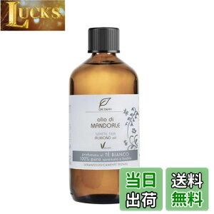 yzDR.TAFFI XC[gA[hIC Y }bT[WIC {fBpyknu₩ tbNX zCgeB[̍z FFzCgeBATCYF250ml