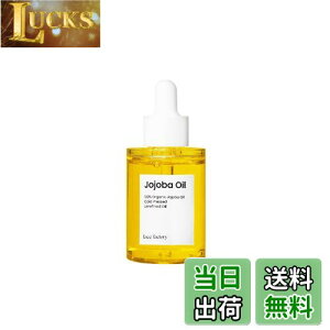 yzFaceFactory zzoIC 30ml  100 I[KjbN VR q ێ }bT[WIC ς ؍RX XLPA