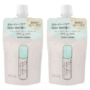 yzHAIR DOLCE wAh`F v~AJvZ~N lւp 100mL×2{ 􂢗Ȃg[gg wA~N J[_[WPA Ƃ cc Vhl̍ FFz