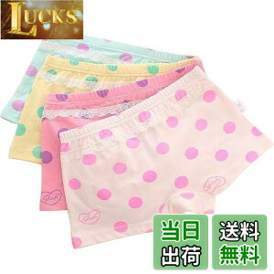 yz[InSomila] [C\~]  LbY ̎q pc {NT[pc ԕ {  V[c    I[V[Y K[Y q ۈ牀 ct w Ci[ L