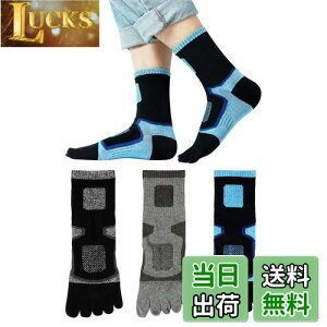 yz[Yazon] ܖ{w\bNX Y  X|[c C St Ro ƗpjO\bNX 5{w jp JWA X|[c\bNX ʋC z ėpbV ܖ{wC