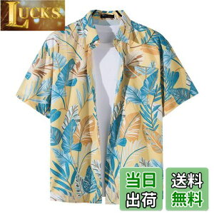 yz[Moerstar] AnVc Y AnVc fB[X J݃Vc  Vc Y eqyAbN  y   rb` s F FFF1123ATC