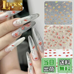 yzChisafly lCV[  lCXebJ[ AWTC z 2Zbg FF