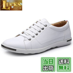 yz[Lopis] y Xj[J[ Y tFCNU[  V[Y [Jbg lC C ʋ ʊw jp  Sn FFzCgATCYF26.5 cm