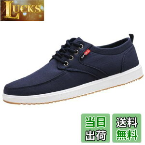 yz[Lopis] Y Xj[J[ y V[Y [Jbg JWA LoX C EH[LOV[Y  ɂ Sn FFlCr[ATCYF24.5 cm