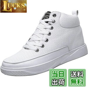 yz[ziitop] V[NbgV[YKp 6cm/8cmgAbv Y fB[X V[NbgXj[J[ nCJbgXj[J[ Y JWA jOV[Y X|[c y C 