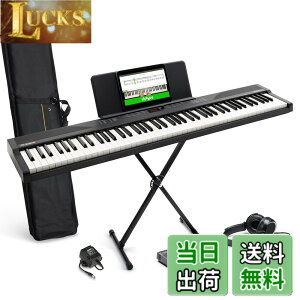 �y���������zAlesis �d�q�s�A�m 88���� Recital Play & Recital Black �F�F�A�N�Z�T���[�t���A�u���b�N�A�T�C�Y�F�A�N�Z�T���[�t��