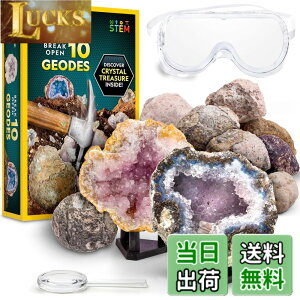 �y���������zNATIONAL GEOGRAPHIC Break Open Geodes�T�C�G���X�L�b�g �| �S�[�O���A�ڍׂȊw�K�K�C�h�A�f�B�X�v���C�X�^���h�t�� - ������N��̍z���w��n���w���D�ƂɍœK��STEM�T�C�G���X�M�t�g