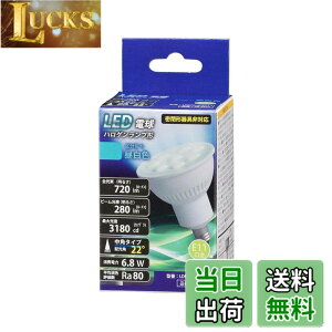 �y���������z�n���Q�������v�` LDR5 LIGHT_BULB �F�F�����F�A�T�C�Y�F����d��6.8W