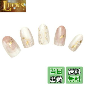 yz[BeautyAvenue]nh lCV[ WFlC d^Cv FFShy GladiolusiVCOWIXj