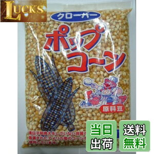 yzN[o[ |bvR[Ɩp 1kg TCYF1LO (x 1)