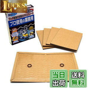 yzV(Takagi) S˂݂ƂV[g FFubNATCYF5