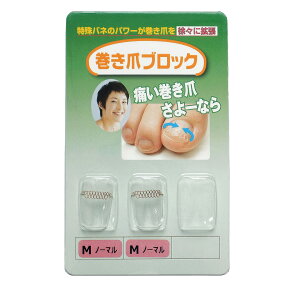 yz܃ubN ␳Pi MTCYm[} TCYF2 (x 1)