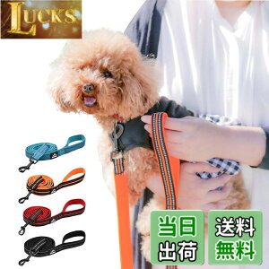 �y���������zPetGround �� ���[�h ���� �\�t�g���[�h �_�炩�� ������� �y�� ���ˑf�� �y�b�g�p�i ���b�V�� ���^�� ���^�� ��^�� (�u���[ M)