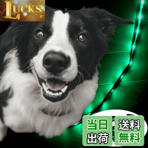 �y���������zTERUI Lights Osaka �� ���郊�[�h LED �[�d�� USB-C ��� �U�� �����[�h ���C�g 1.2m ���� ���[�h ���� �S������ �h�� 16���Ԏg�p ���̓o�b�e���[ �����P�[�u�� ���^�� ���^�� ��^�� ���S