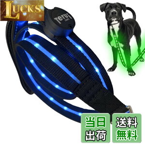 �y���������zTERUI Lights Osaka �� ���郊�[�h LED �[�d�� USB-C ��� �U�� �����[�h ���C�g 1.2m ���� ���[�h ���� �S������ �h�� 16���Ԏg�p ���̓o�b�e���[ �����P�[�u�� ���^�� ���^�� ��^�� ���S