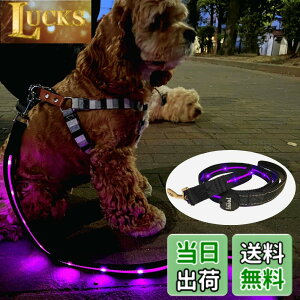 �y���������zTERUI Lights Osaka �� ���郊�[�h LED �[�d�� USB-C ��� �U�� �����[�h ���C�g 1.2m ���� ���[�h ���� �S������ �h�� 16���Ԏg�p ���̓o�b�e���[ �����P�[�u�� ���^�� ���^�� ��^�� ���S
