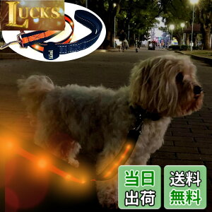 �y���������zTERUI Lights Osaka �� ���郊�[�h LED �[�d�� USB-C ��� �U�� �����[�h ���C�g 1.2m ���� ���[�h ���� �S������ �h�� 16���Ԏg�p ���̓o�b�e���[ �����P�[�u�� ���^�� ���^�� ��^�� ���S