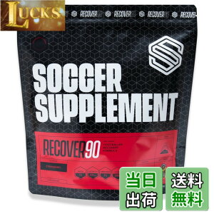 �y���������z�T�b�J�[�T�v�������g RECOVER90 ���J�o���[�v���e�C�� �񕜌n�T�v�� WPI �O���^�~�� BCAA �d���� �X�g���x���[�t���[�o�[ 500g (1��) ��������