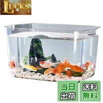 楽天市場】ブル コンテナ 400 金魚の通販