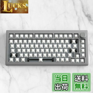 【送料無料】DrunkDeer A75 ラピッドトリガー メカニカルキーボード アルミニウムケース TKL 磁気スイッチ コンパクト 82キー 有線 RGB キーキャップなし ノブ付き スペースグレー