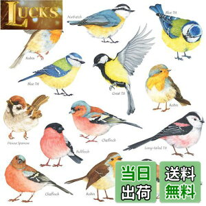 yzDECOWALL DS-8038  () EH[ XebJ[ fR ct ۈ牀 q DIY p Ǔ] V[ EH[A[g V[ j̎q ̎q 10 ǂ oX[ fR[V r